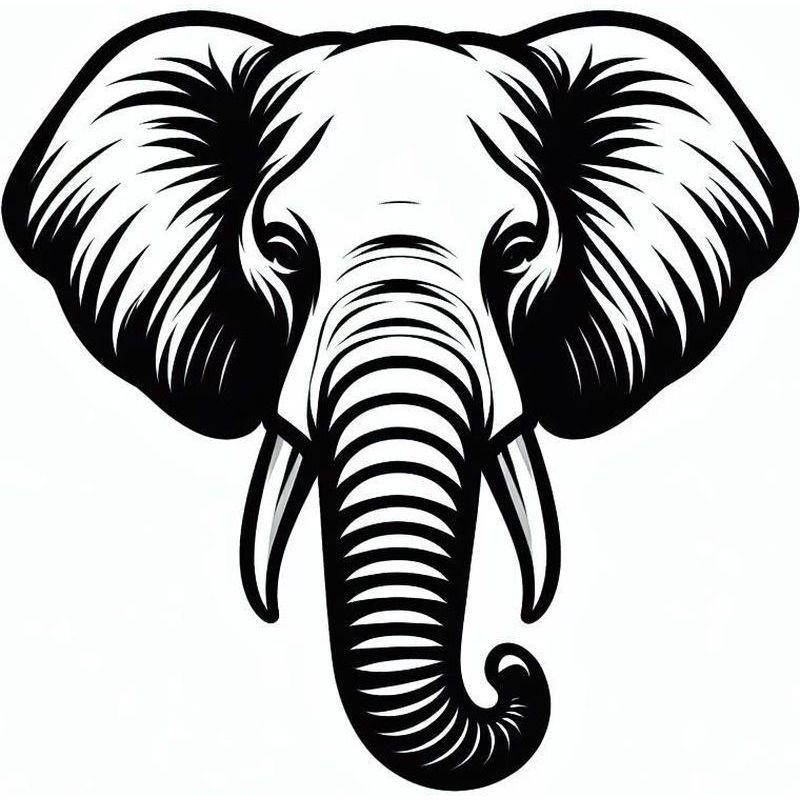 Állat - elefánt 01