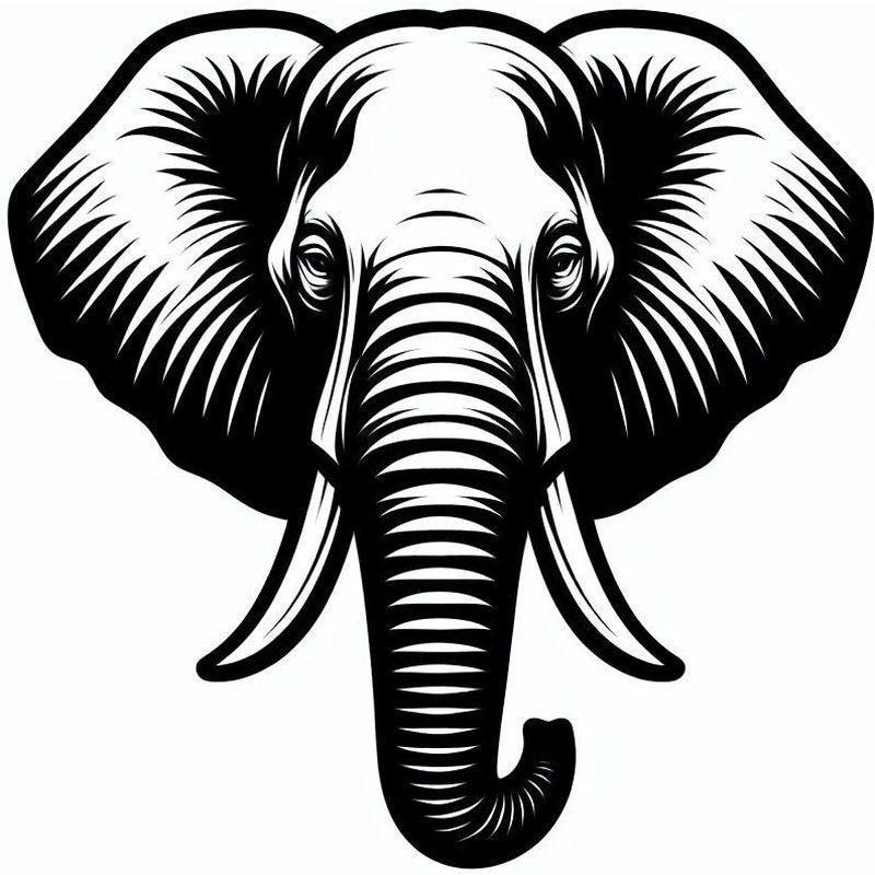Állat - elefánt 03
