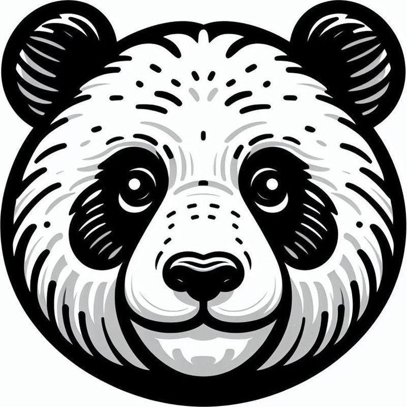 Állat - panda 02