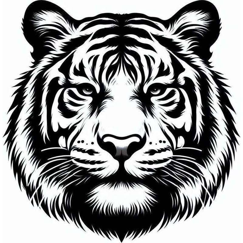 Állat - tigris 04
